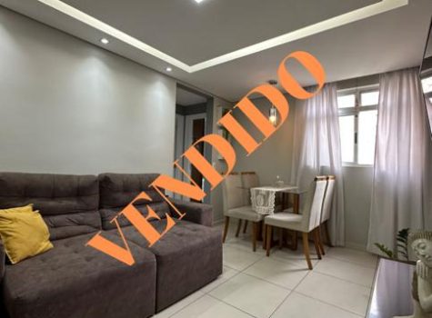 WhatsApp Image 2024-01-11 at 16.21.06